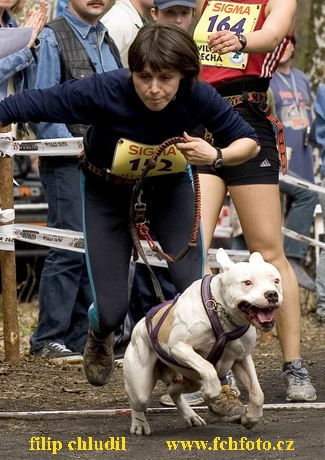 Polsko 2005 - 798.jpg